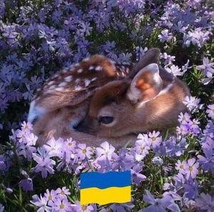 Meet your Posher, Maggie